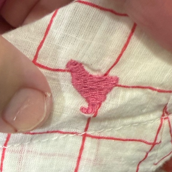 Pink Chicken Cream Pink Florak Embroidery Dress - Picture 10 of 10